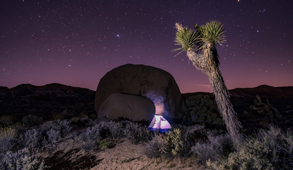 joshua-tree-backcountry