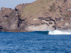 thumbs_dingo-bay-expo-2-copy