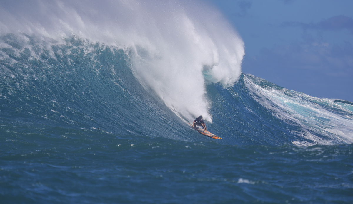 layer_a4703jaws18hallman