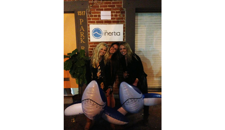 shark4
