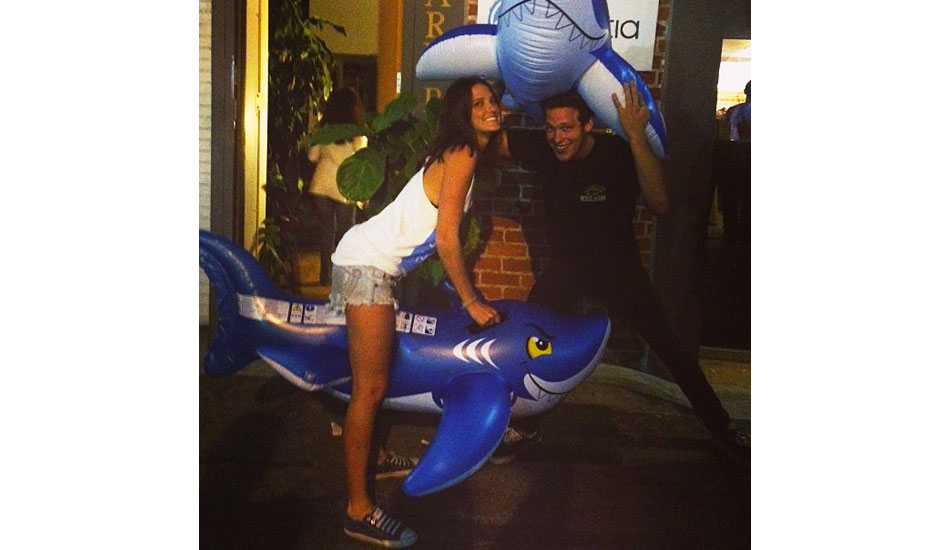 sharkattackmattholly