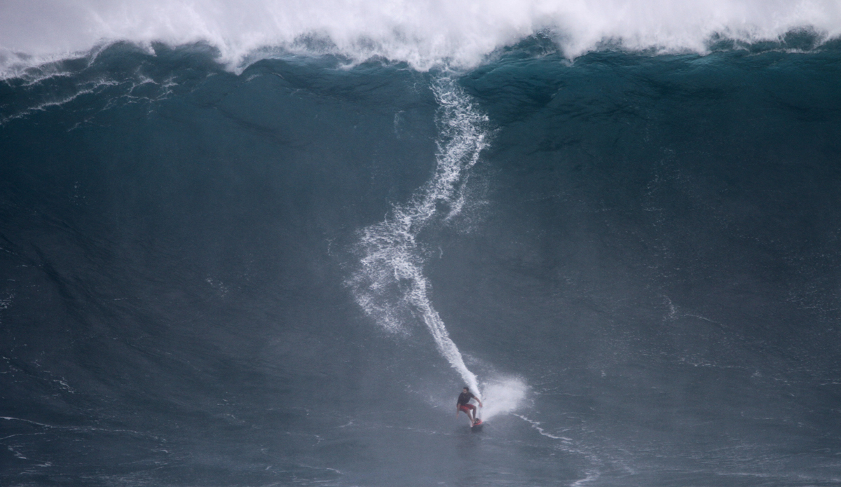 francisco-porcella-look-back-1-jaws-feb-25-2016-lynton