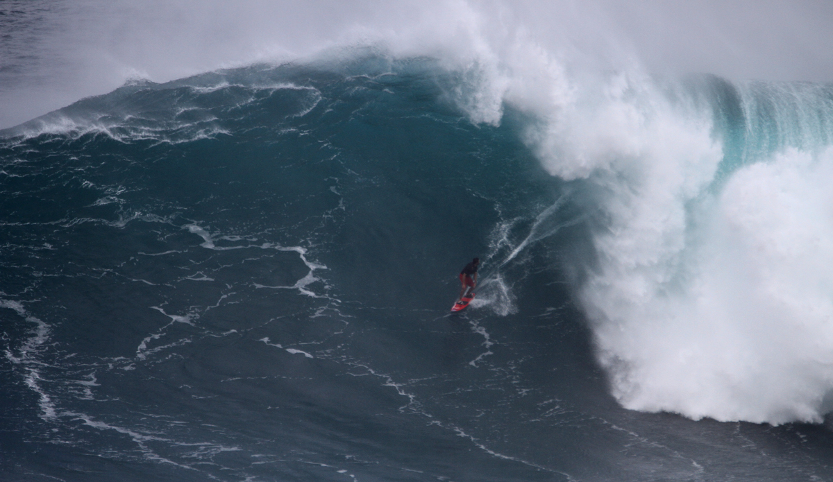 francisco-porcella-look-back-2-jaws-feb-25-2016-lynton