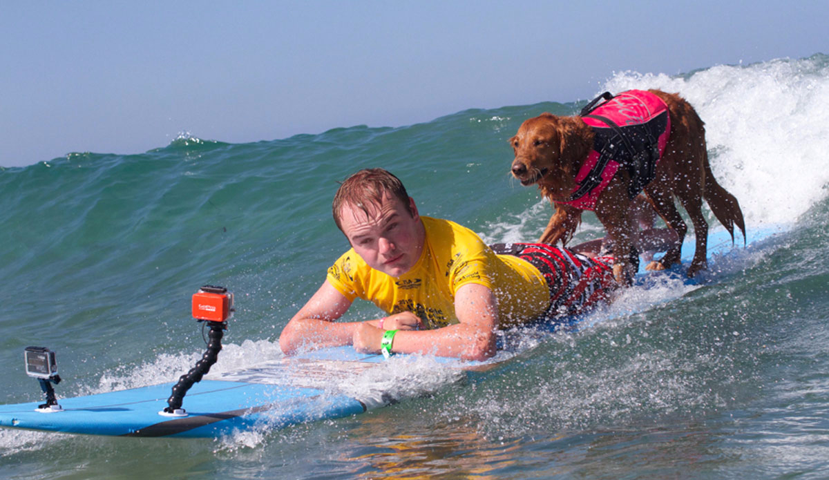 isa_clinic_surfer_dog3_isa_petty