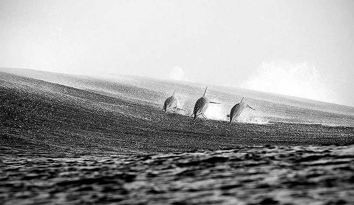 untitled-6