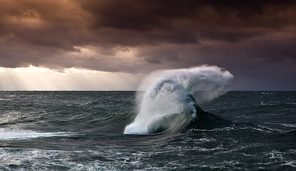 warrenkeelan_mobystail