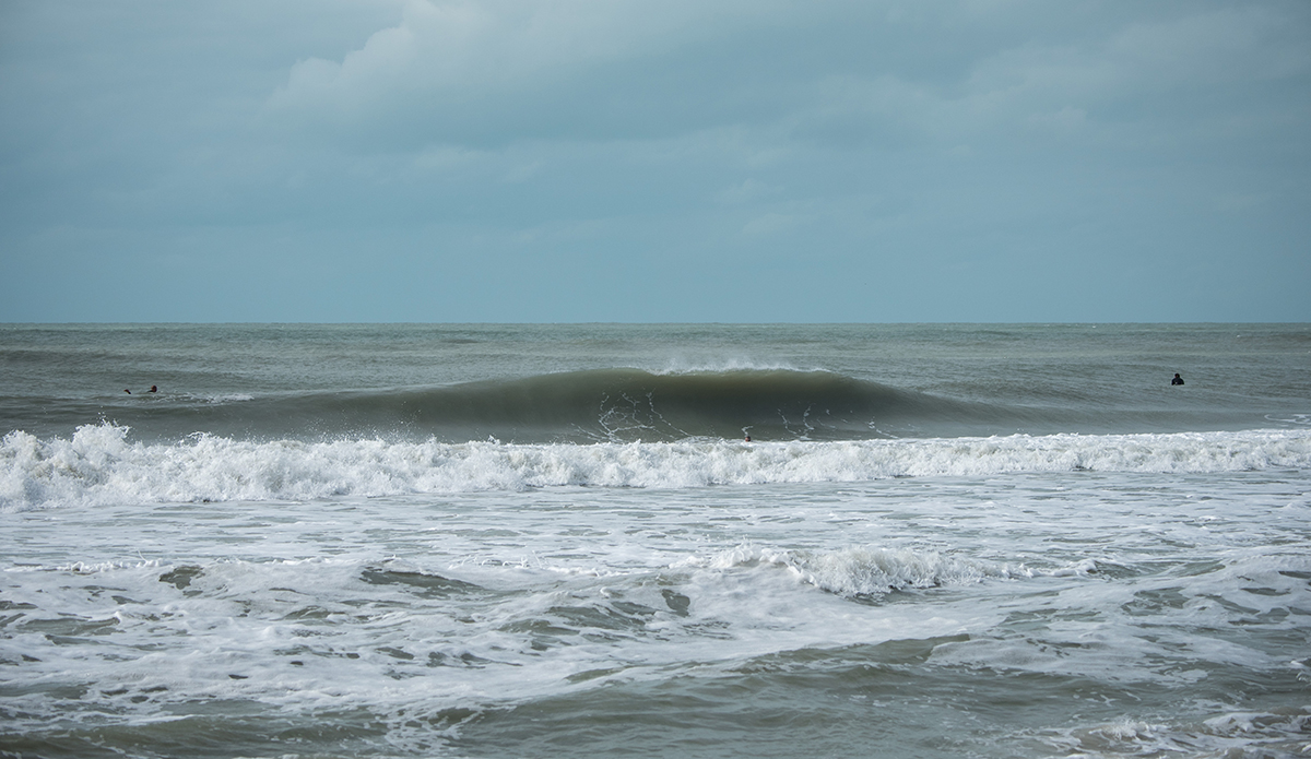 dsc_0693