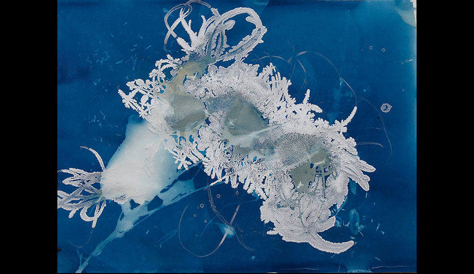 The beauty of a caterpillar cyanotype. "Science is quite influential in art," says Nguyen. "With new discoveries and technologies, I feel like it fuels inspiration for those who are interested in the sciences."