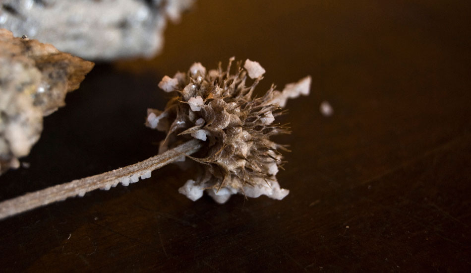 More crystals. "I look at NASA photos all the time and get excited when I read about some form of discovery, whether in plant and/or animal life, geological or in space," says Nguyen.