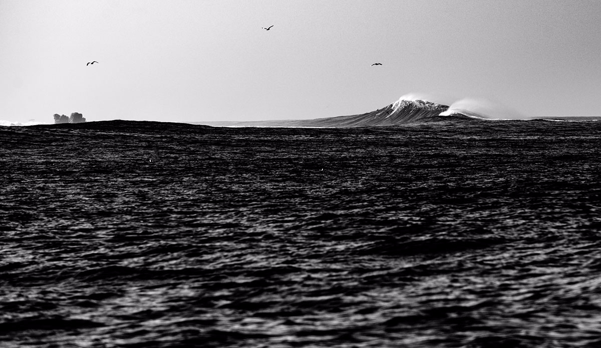 benjaminginsberg_driftwoodfoto_todossantos_20160225__dsc0079_garylinden-garthenglehorn