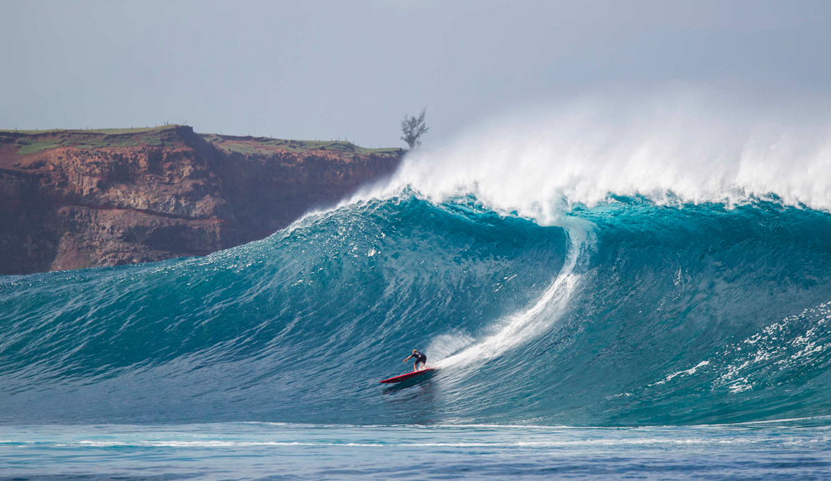 coconut-willie-peahi-by-tom-servais-1