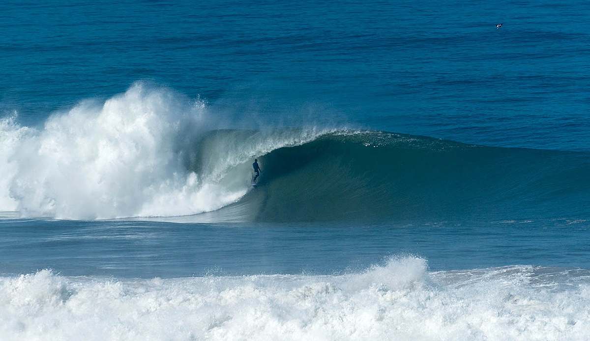 dsc3555