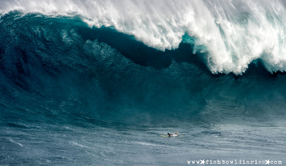 sofie_louca_issac_stant_jaws