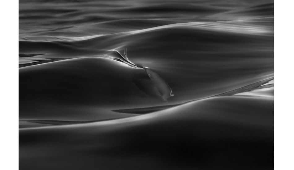 untitled-12