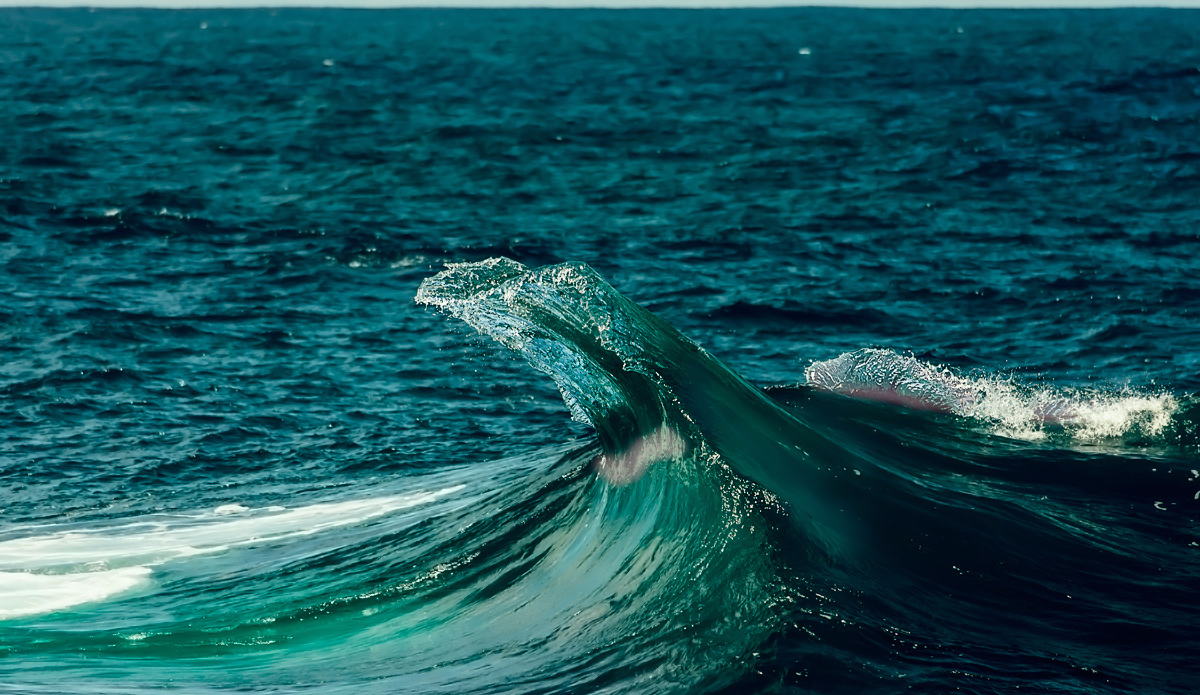 the_inertia_chris_dixon_photo_12