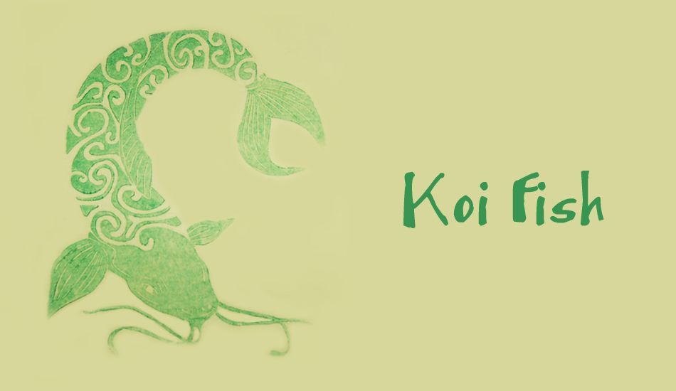 Koi Fish, Image: BirdSwell