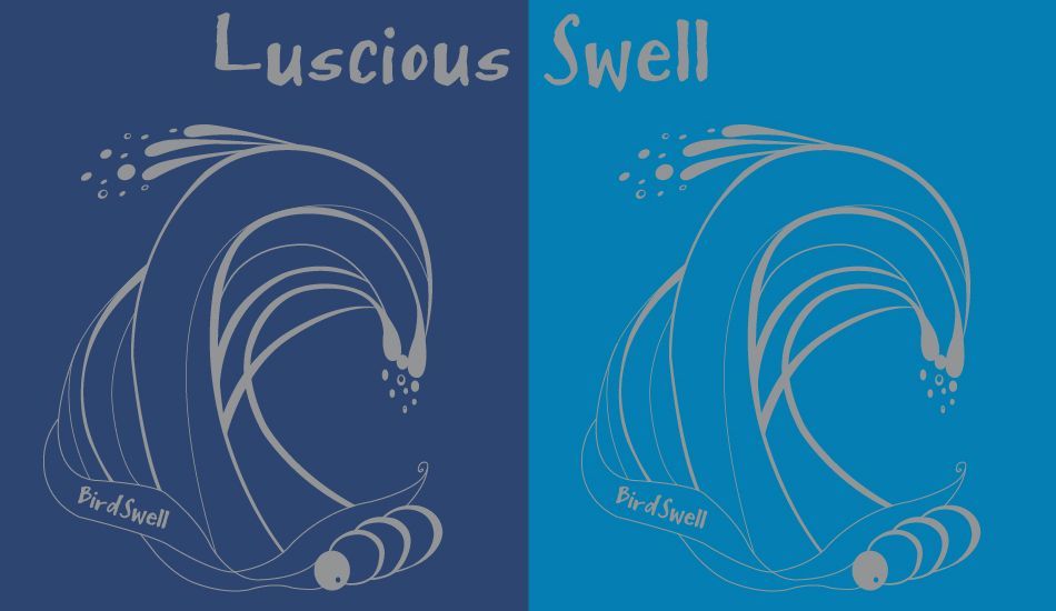 Luscious Swell, Image: BirdSwell