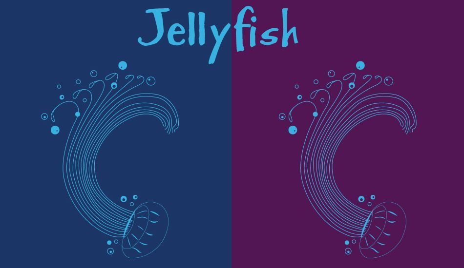 Jellyfish, Image: BirdSwell