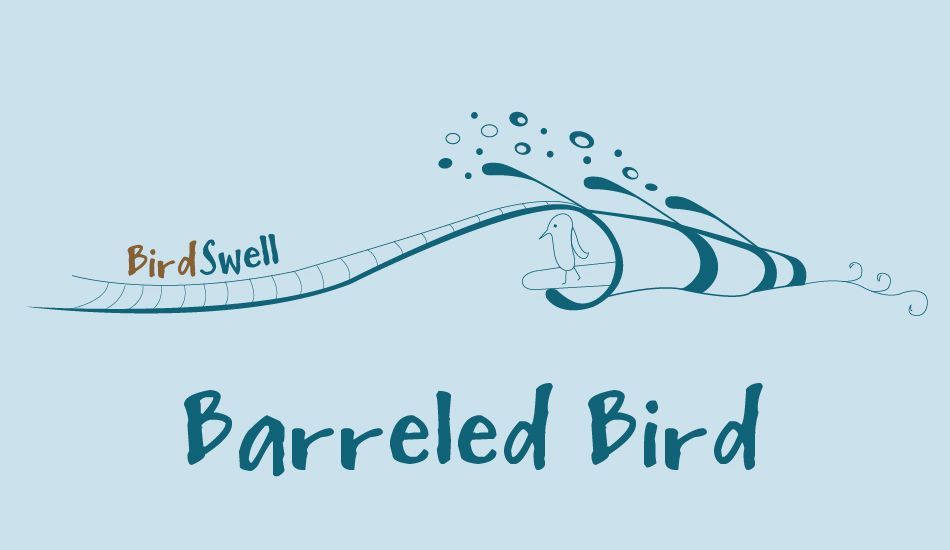 Barreled Bird, Image: BirdSwell