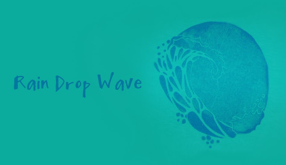 Rain Drop, Image: BirdSwell