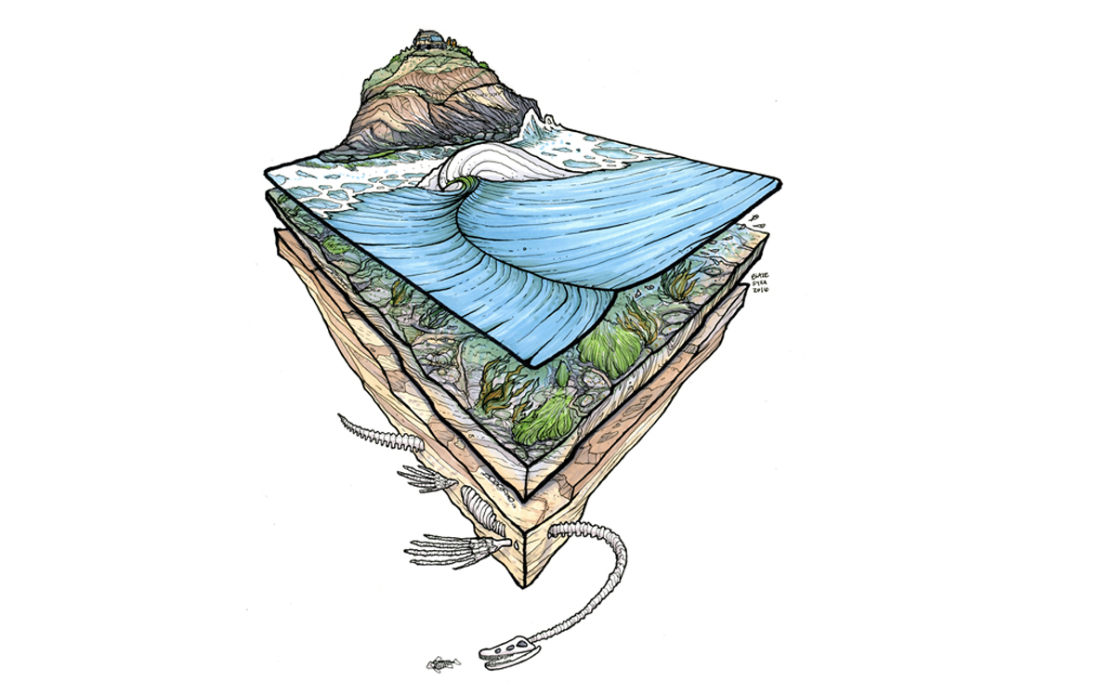 fossil-point_web