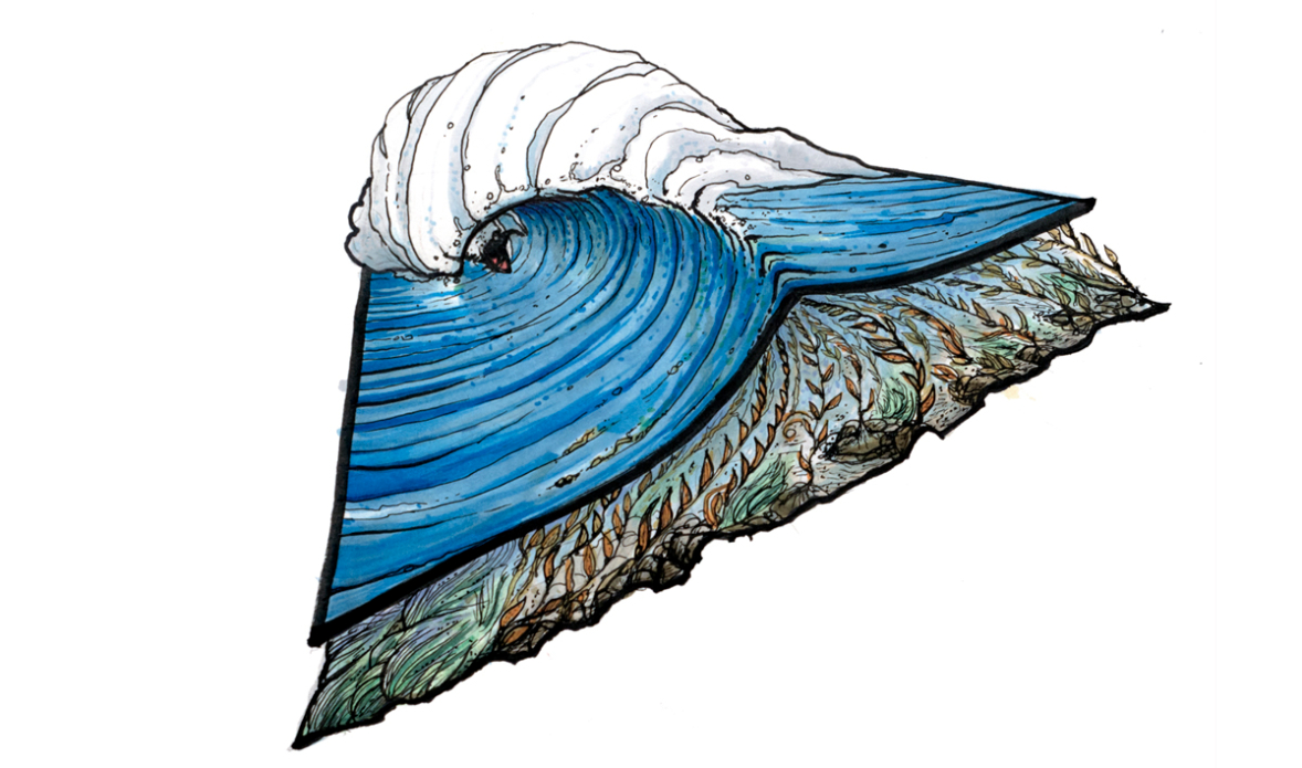 kelpy_web