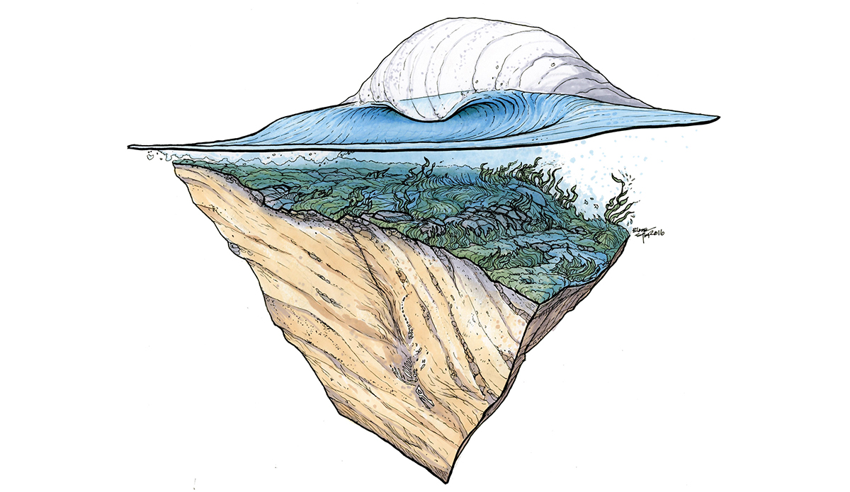 slab-study