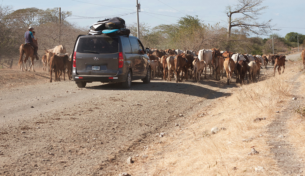 traffic