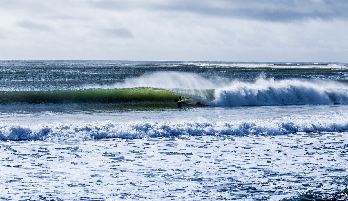 gold-coast-swell
