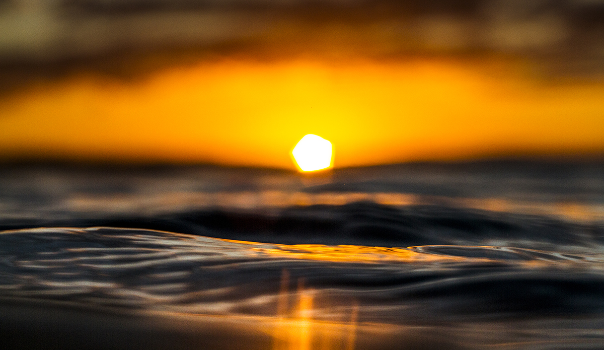 sunset-snapper