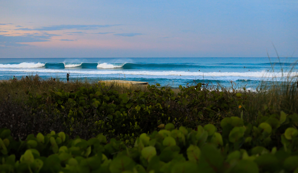 south-fl-1