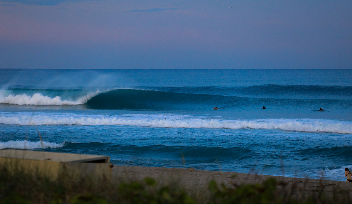 south-fl-2