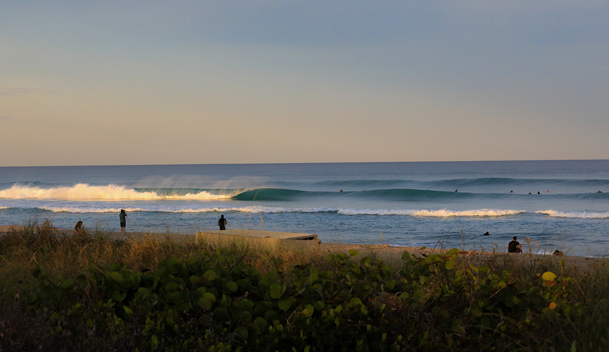 south-fl-5