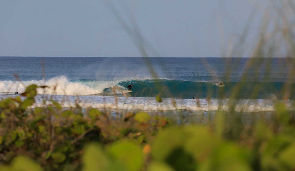 south-fl-6