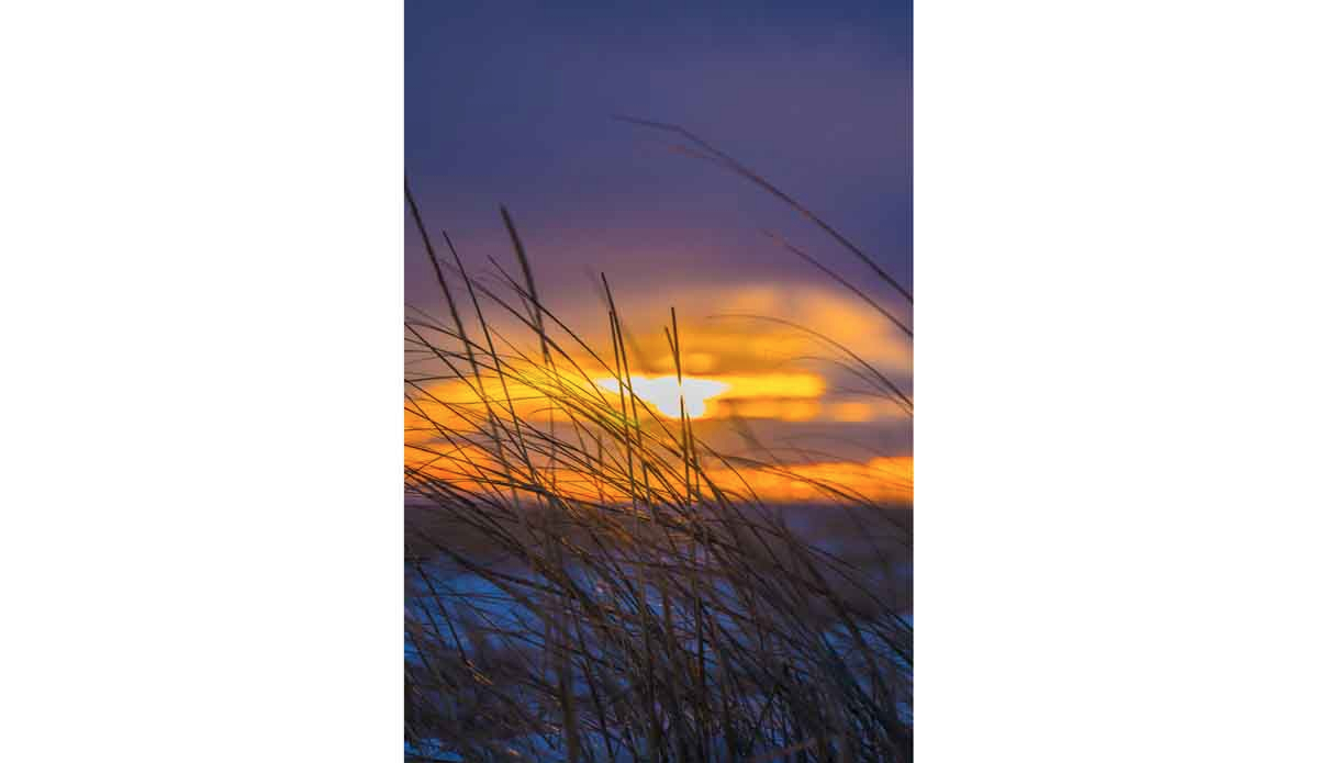 dune-beach-southampton-ny-jonas-2016-3