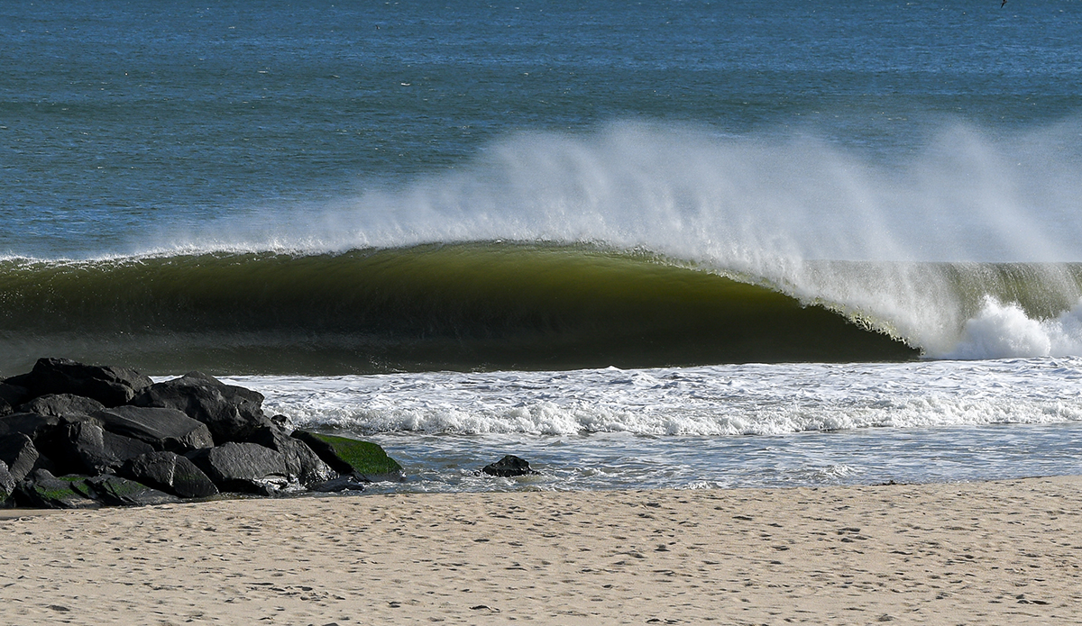 inertia_torchia_0214