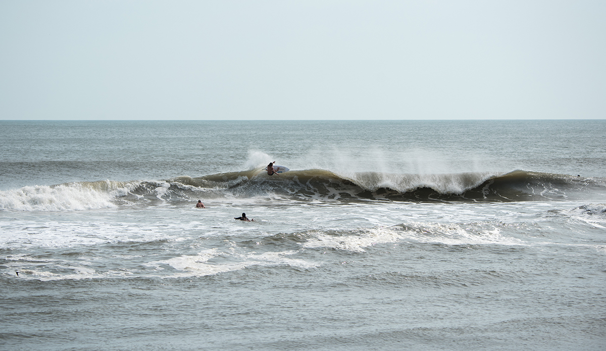 dsc_8197