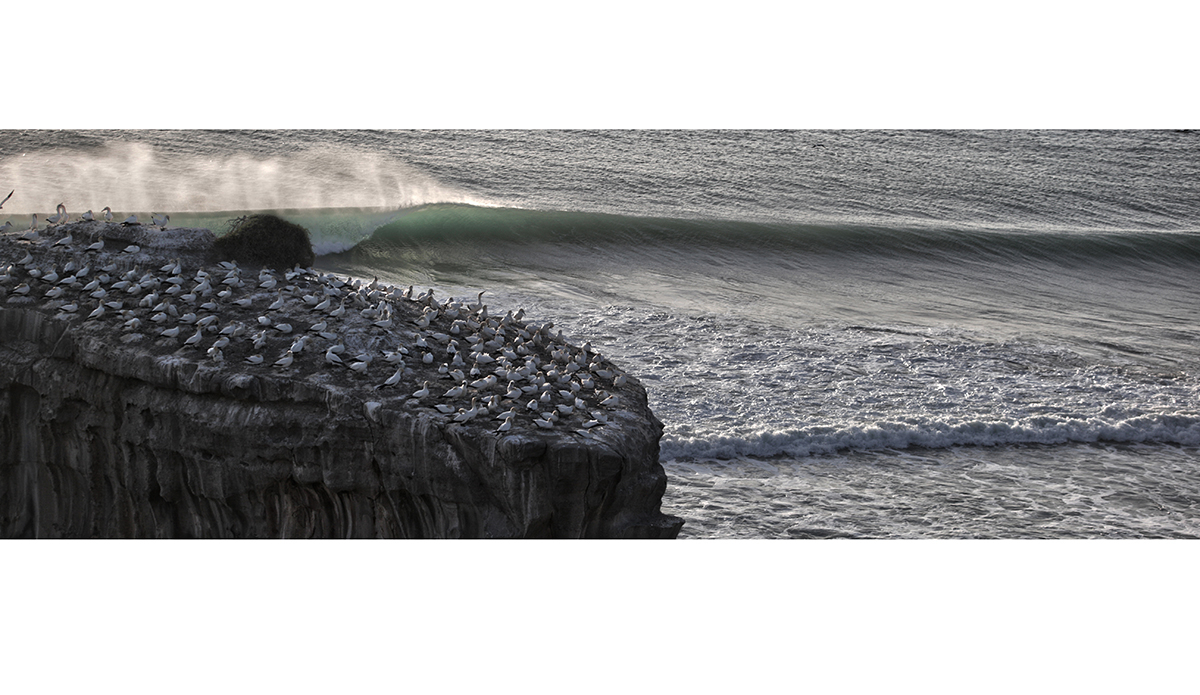 maori-bay