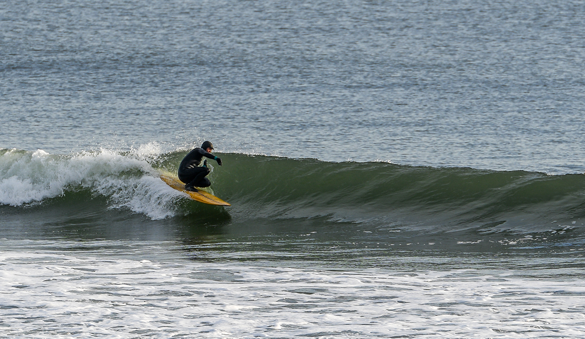 inertia_torchia_bryan_yarborough_1350