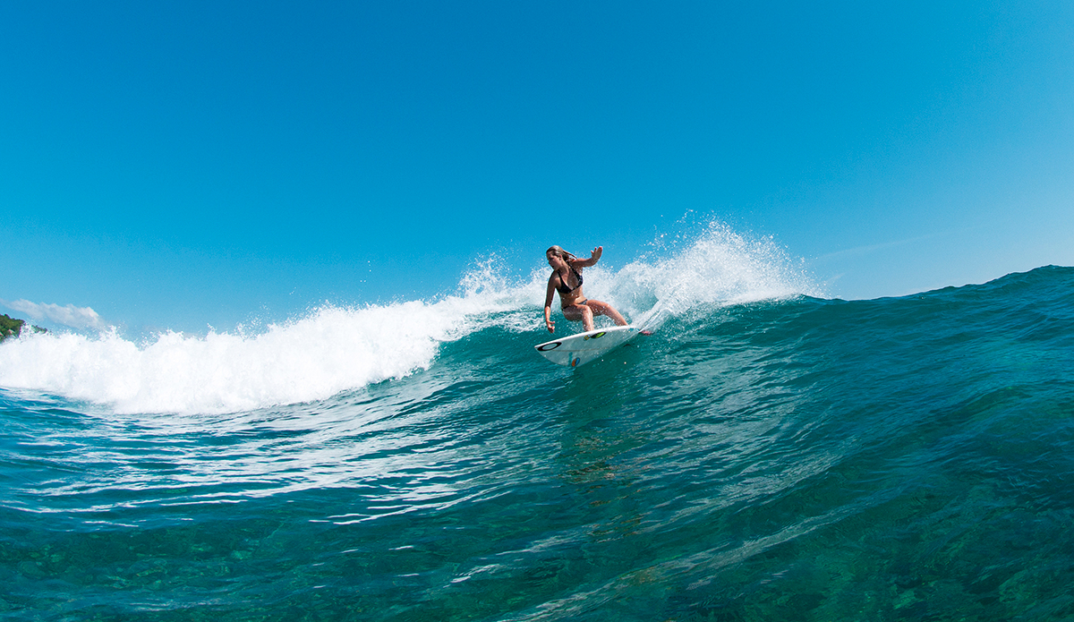 erica12_cutback
