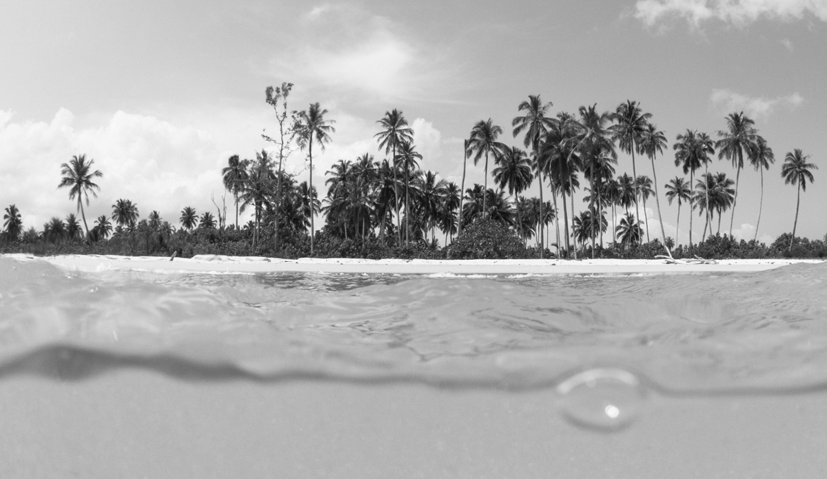 tropical_darkness