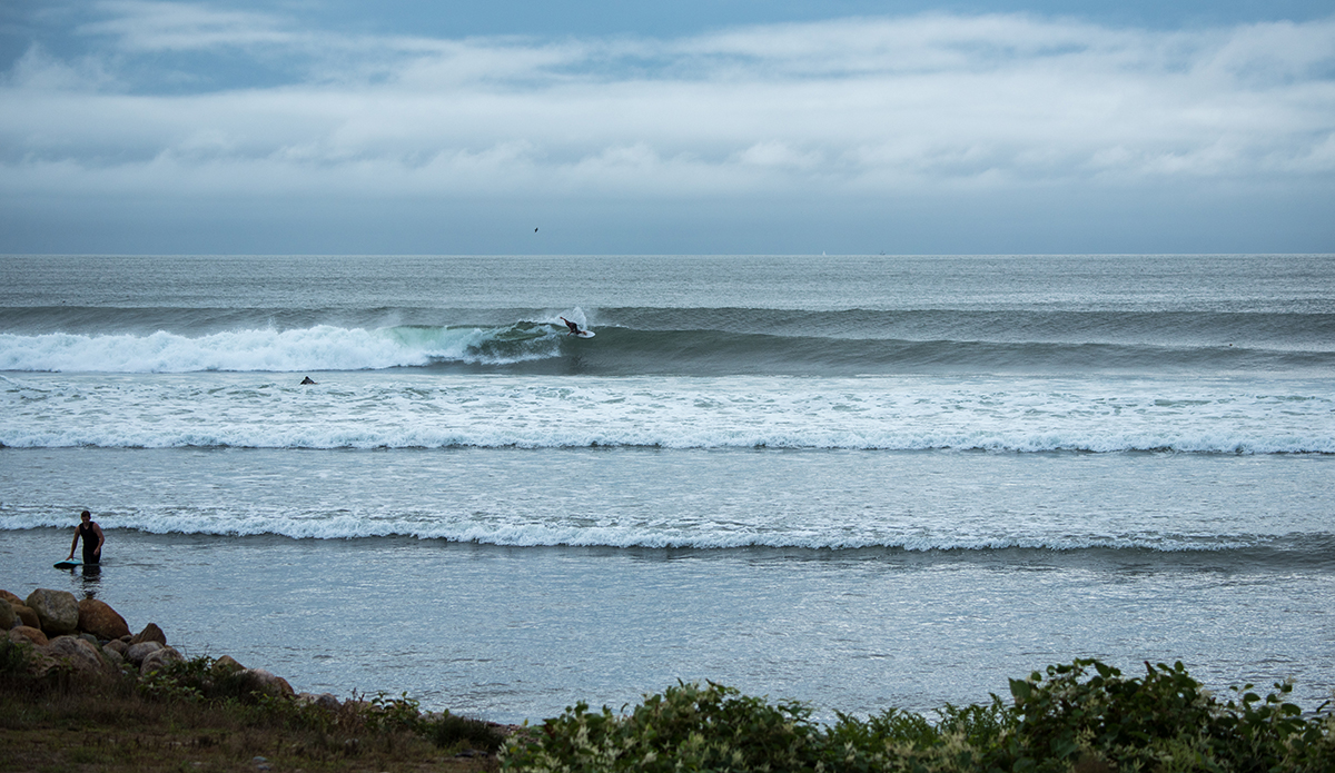 dsc_6346-2