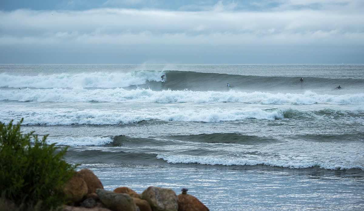 dsc_6355-2