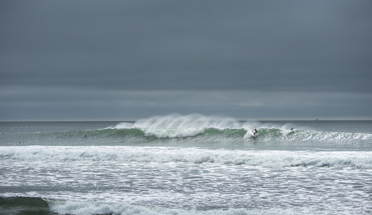dsc_6718