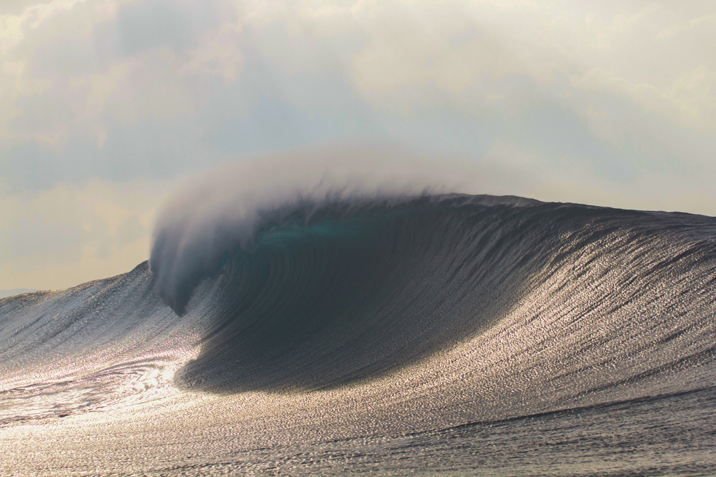 gavinshigesato_inertia-1