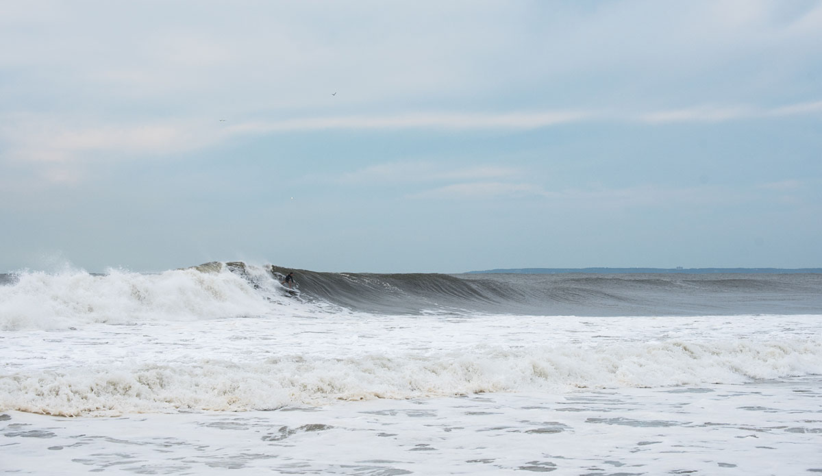 dsc_5466