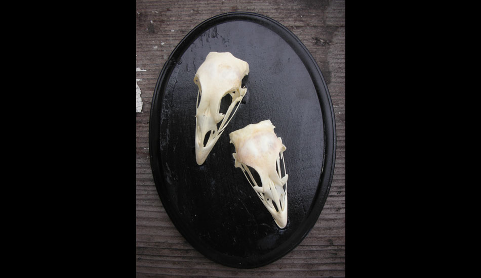I did a lot of these when I lived in Oakland. There was a bounty of bones there! I still make them but not as much anymore. These were my favorite. HeatherGabel.com