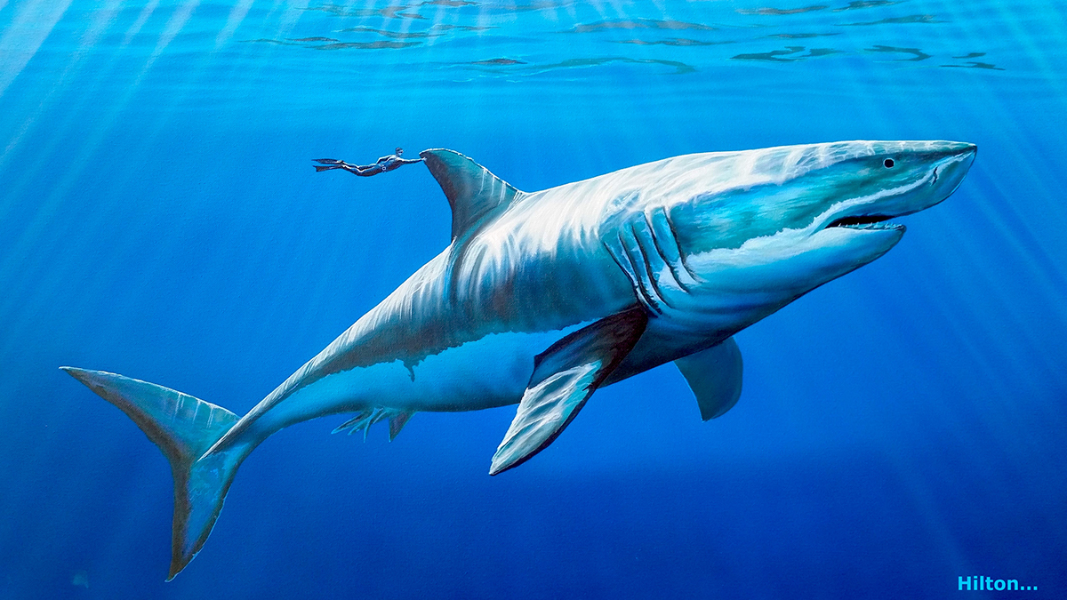 monster-shark