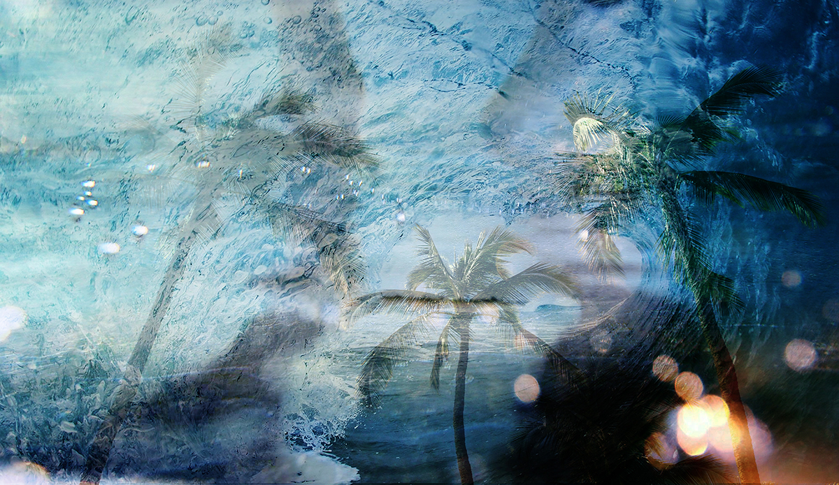 hollytree-photo-x-jacob-hughes-creative-collaboration-blend-hawaii-east-coast-of-australia