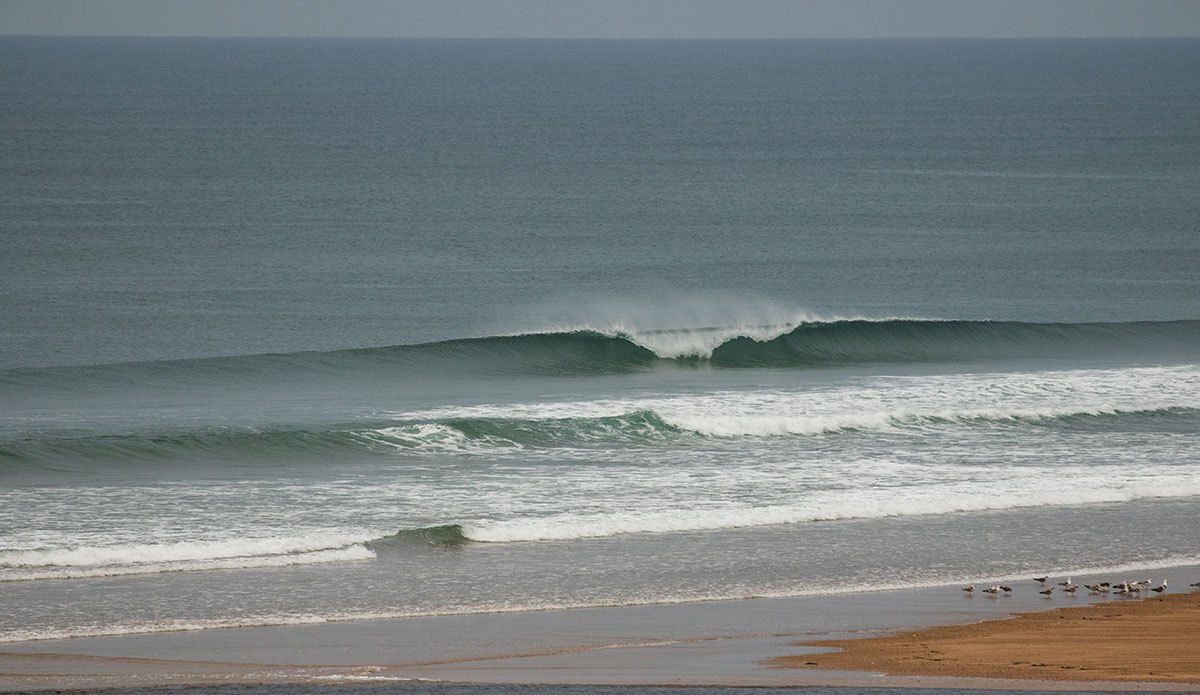 lockdown in France,in moliets at the beach